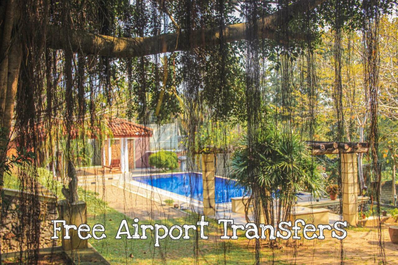 Airport Green Olive Villa Katunayaka Eksteriør billede